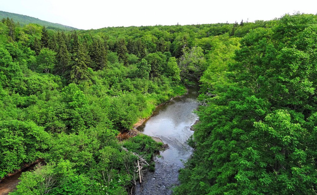 Cabot Trail Cape Breton 2