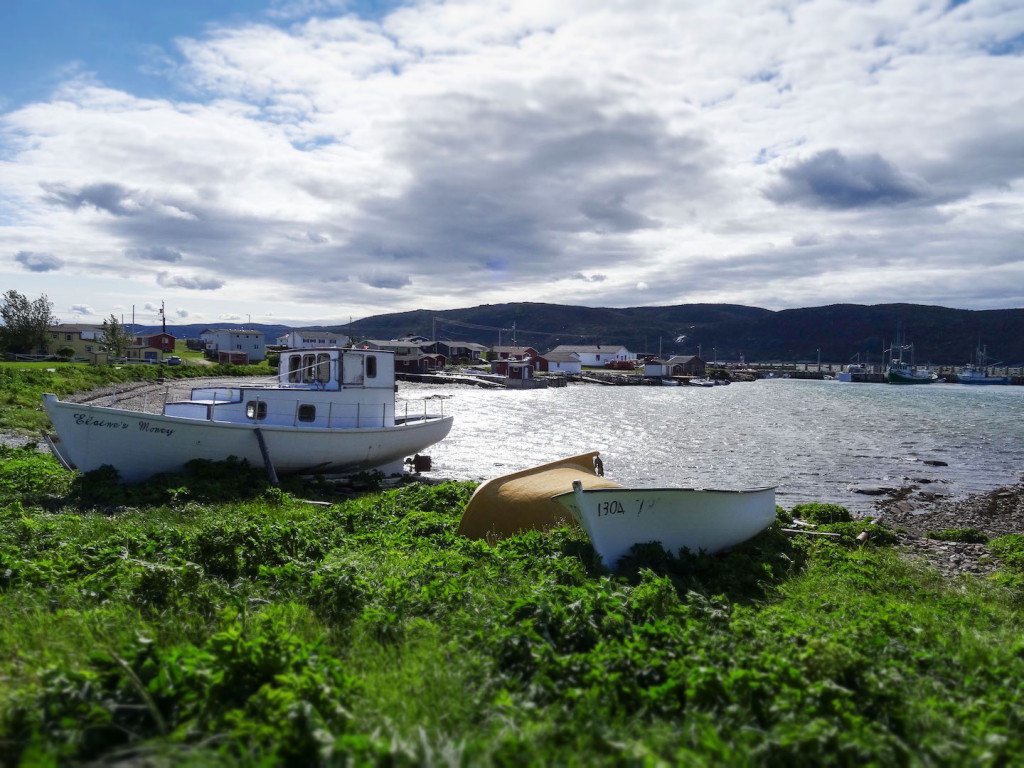 Conche Newfoundland Harbour