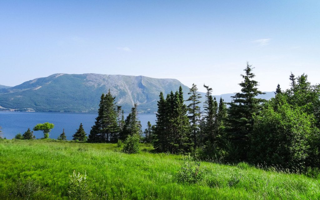 Gros Morne and Cornerbrook Campground_