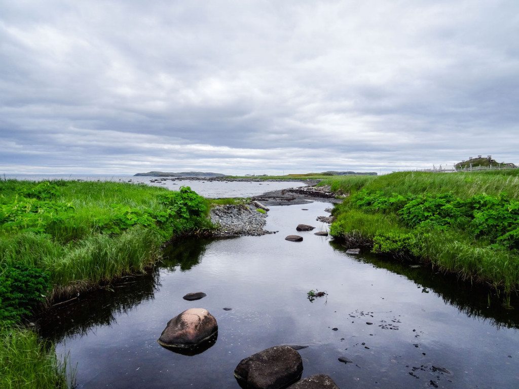 L'Ans aux Meadows Viking Settlement