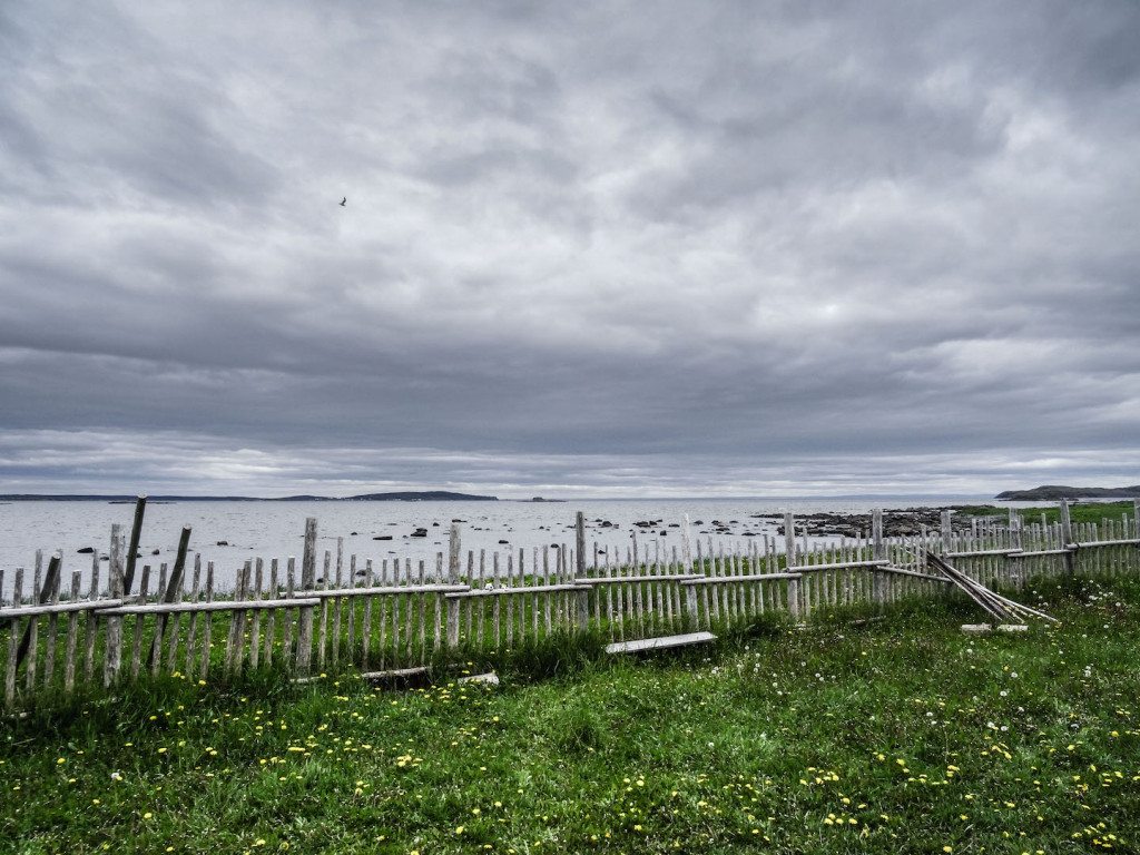 L'Ans aux Meadows Viking