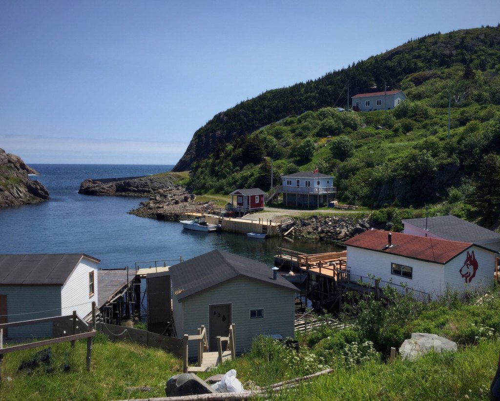 Newfoundland