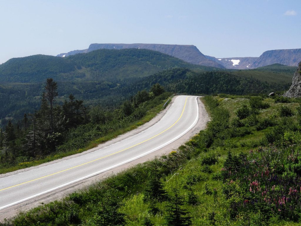 Newfoundland Highway 431