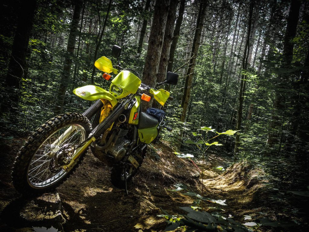 Suzuki D650 Limerick Forest Trail