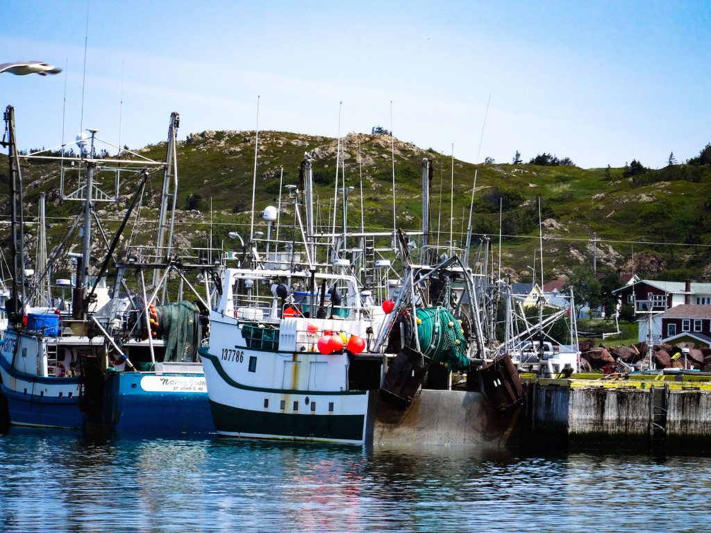 Twillingate Harbour Newfoundland