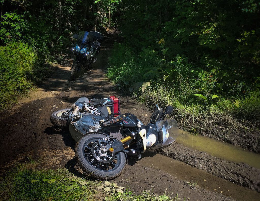 Big Ethel rolling in the mud