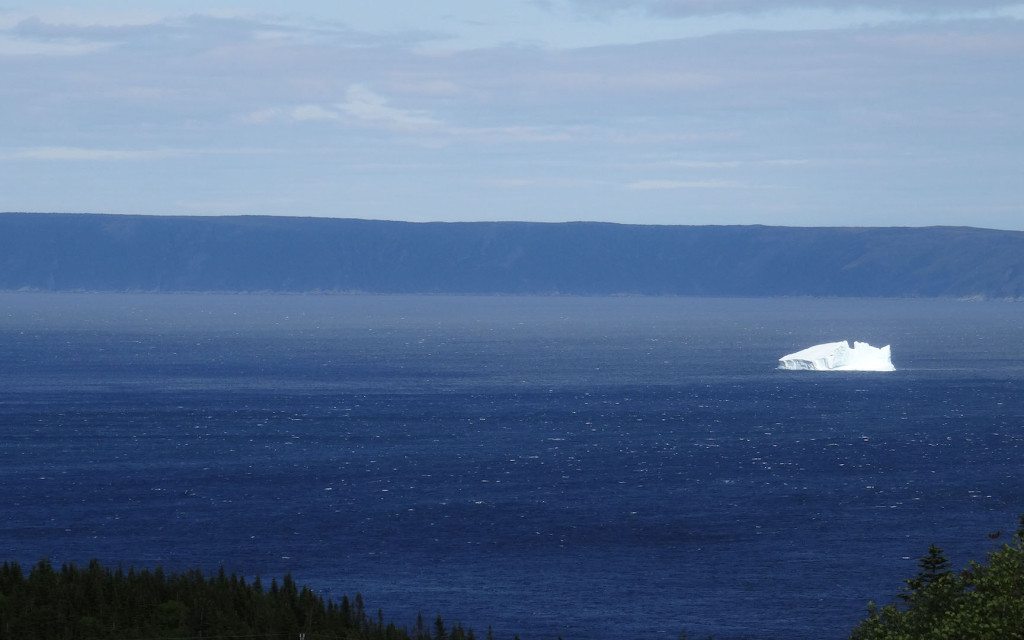 iceberg newfoundland