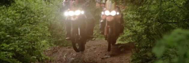 Triumph Tiger 800XC ADV Motorcycles In The Rainforest