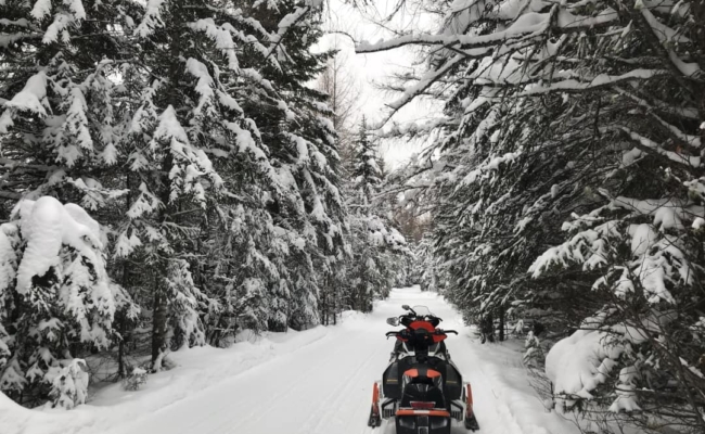 2 snowmobiles on a snow covered trail in a pine forest in nothern Ontario