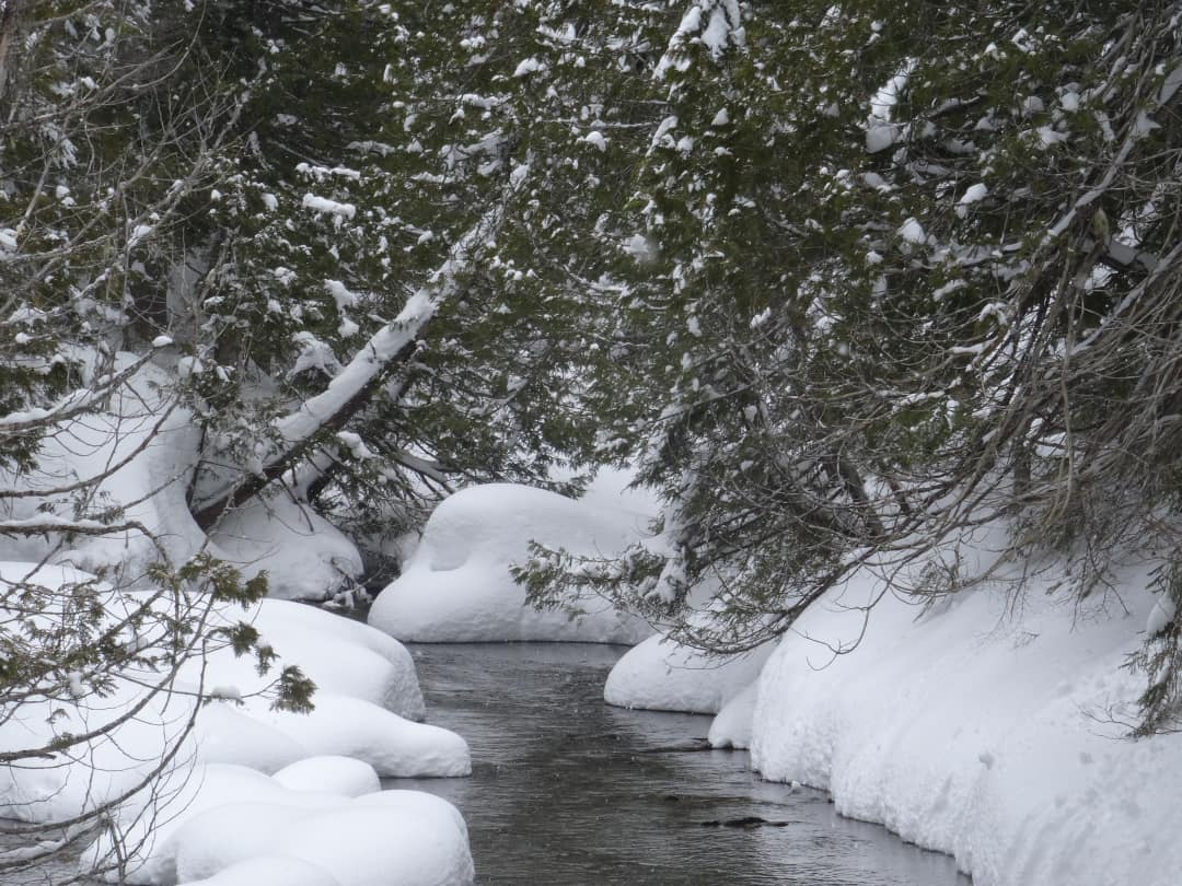 A winter scene of a babbling brook in deep snow