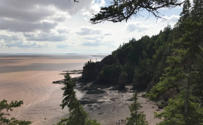 photo of the view from the lookout at Hopewell Rocks, Bay of Fundy