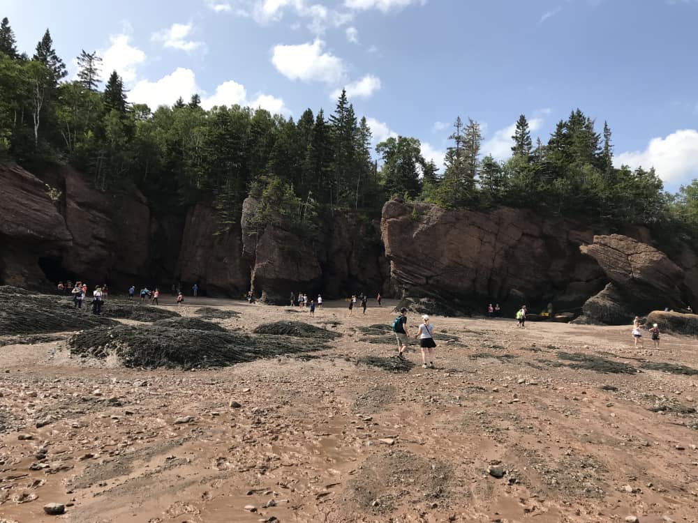 Hopewell rocks at low tide - the water will rise almost 30 feet in a few hours