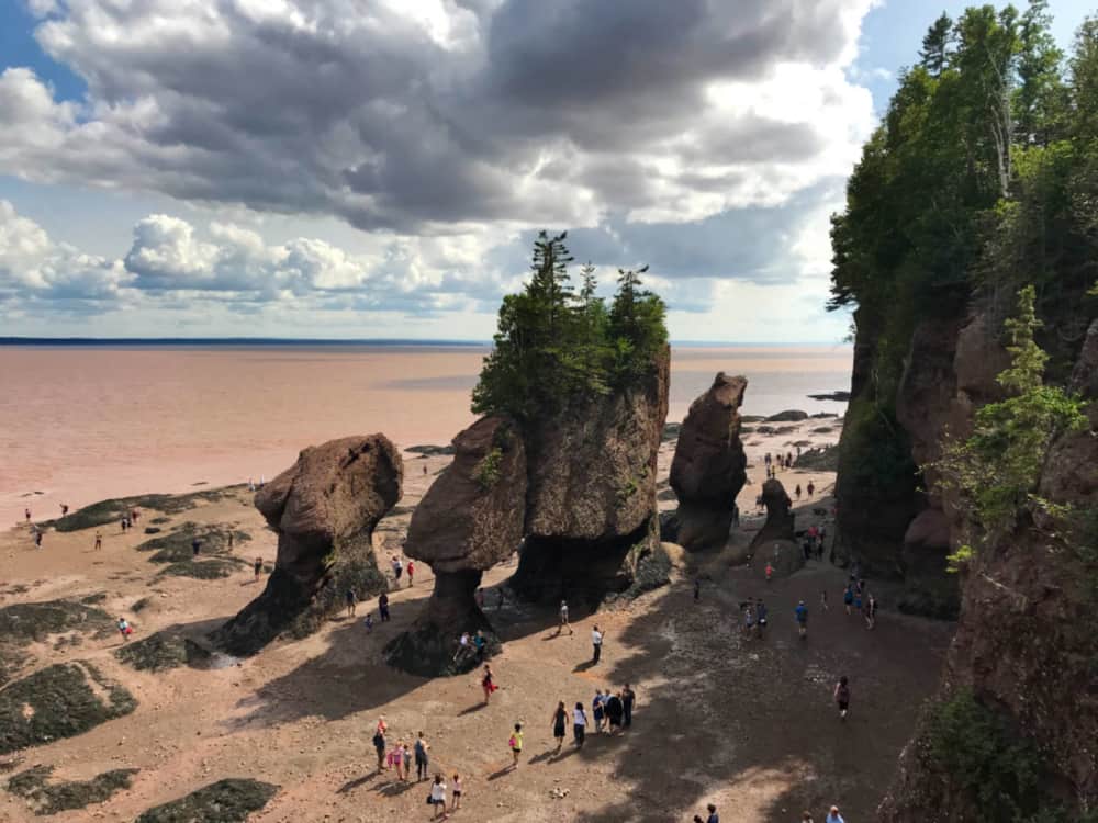 Looking out over Hopewell Rocks New Brunswick from the viewpoint on the stairs