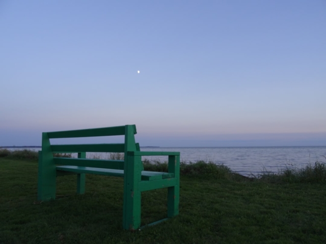 An evening moon rising above a green bench at Linkletter Provincial Park