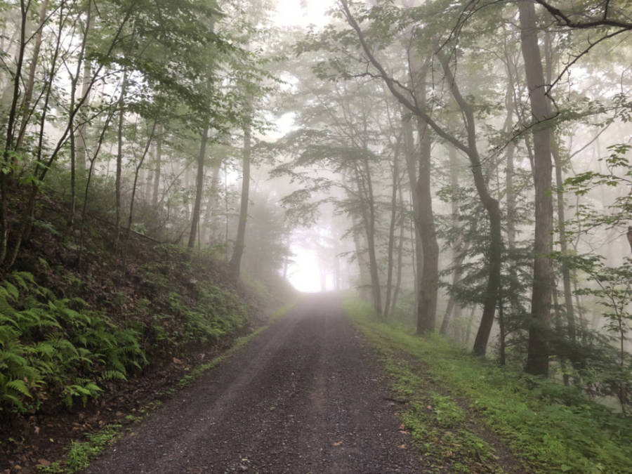 Mid-Atlantic Backcountry Discovery Route