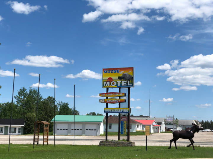 a photo of the fake moose at the Moose Motel in Smooth Rock Falls