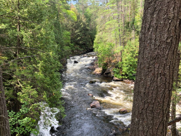 A photo of the river rushing through the Eau Claire Gorge