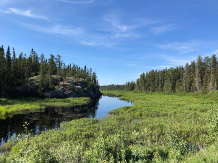 A photo of a small river flowing through northern Ontario forest land