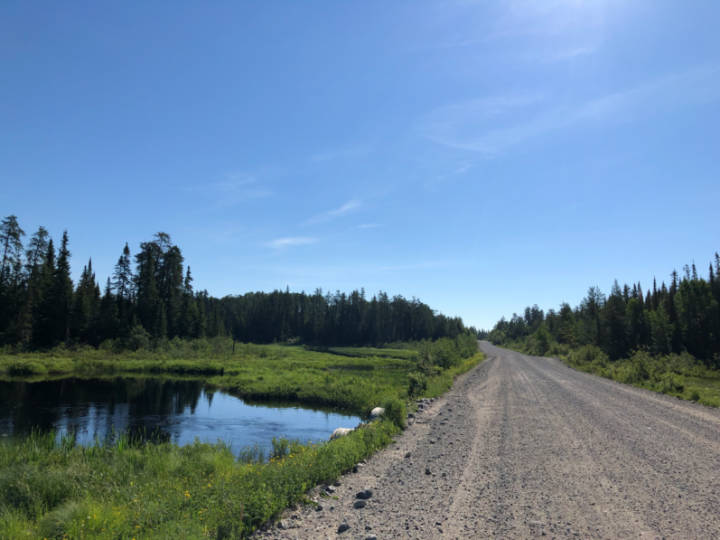 a photo of a pretty gravel road through dense forest with a small pond